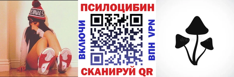 Псилоцибиновые грибы Psilocybe  Томск 